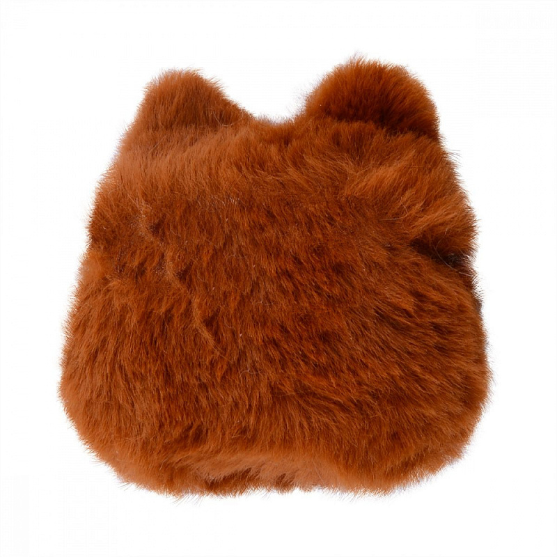 Pretty Cat Case AirPods Pro cat