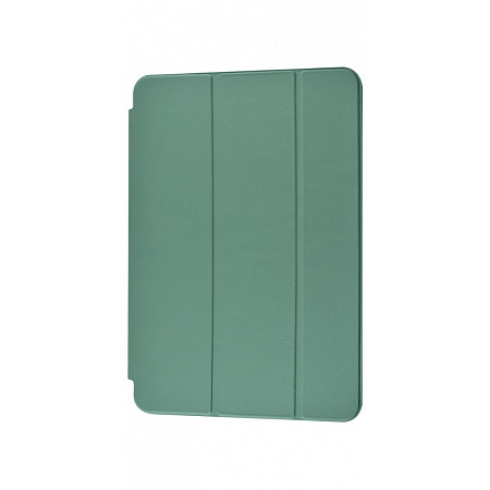 Чохол Smart Case iPad Pro 10,5 2017/Air 10,5 2019 cactus Фото чохла Smart Case iPad Pro 10,5 2017/Air 10,5 2019 cactus