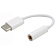 Adapter Type-C to Jack Adapter Adapter Type-C to Jack Adapter